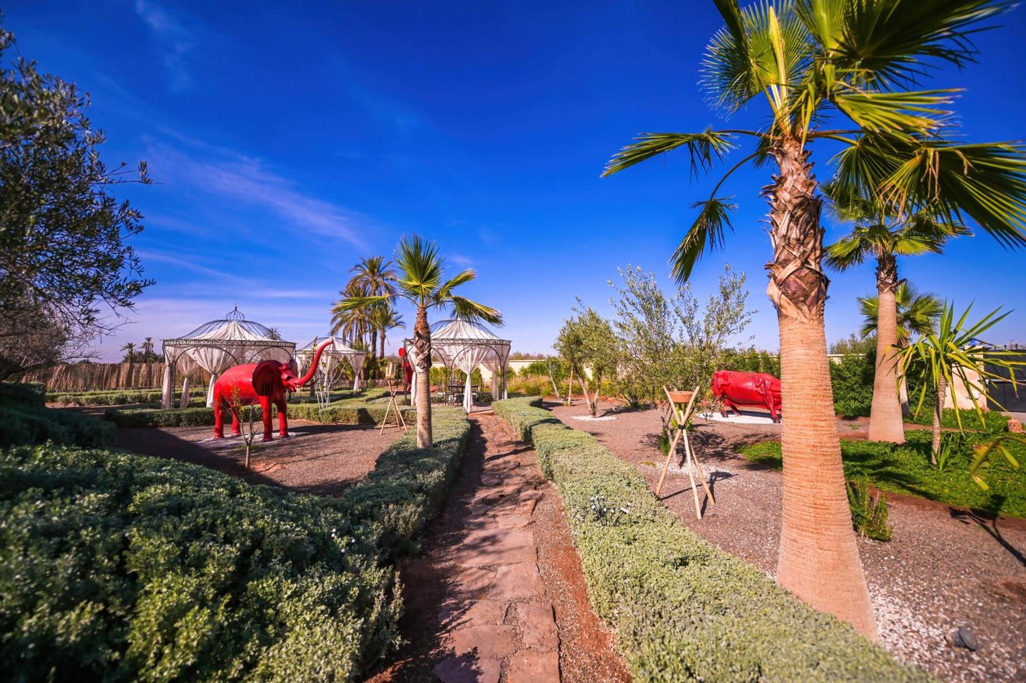 Ouled Jelal Maison Daouia מראה חיצוני תמונה